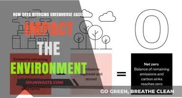 Cutting Greenhouse Gases: Transforming Ecosystems and Preserving Our Planet's Future