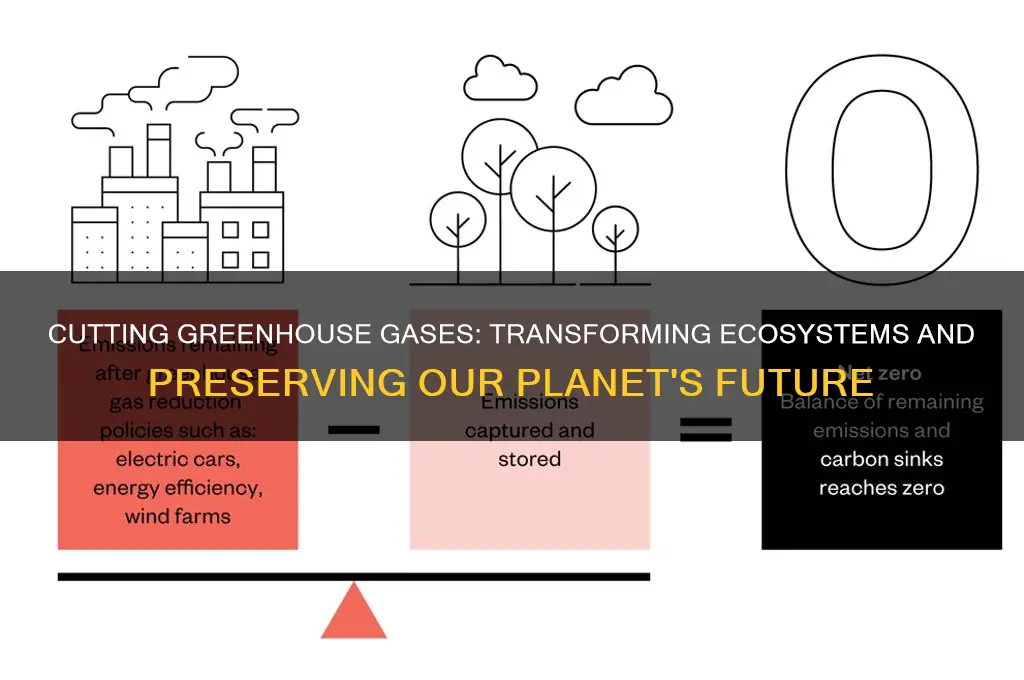 how does reducing greenhouse gases impact the environment