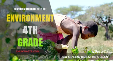 Recycling and Reducing: Simple Ways Kids Can Save Our Planet