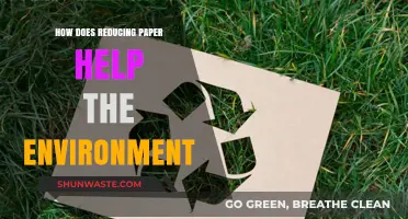 Cutting Paper Use: Simple Steps for a Greener, Healthier Planet