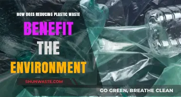 Cutting Plastic Waste: A Powerful Step Toward a Healthier Planet