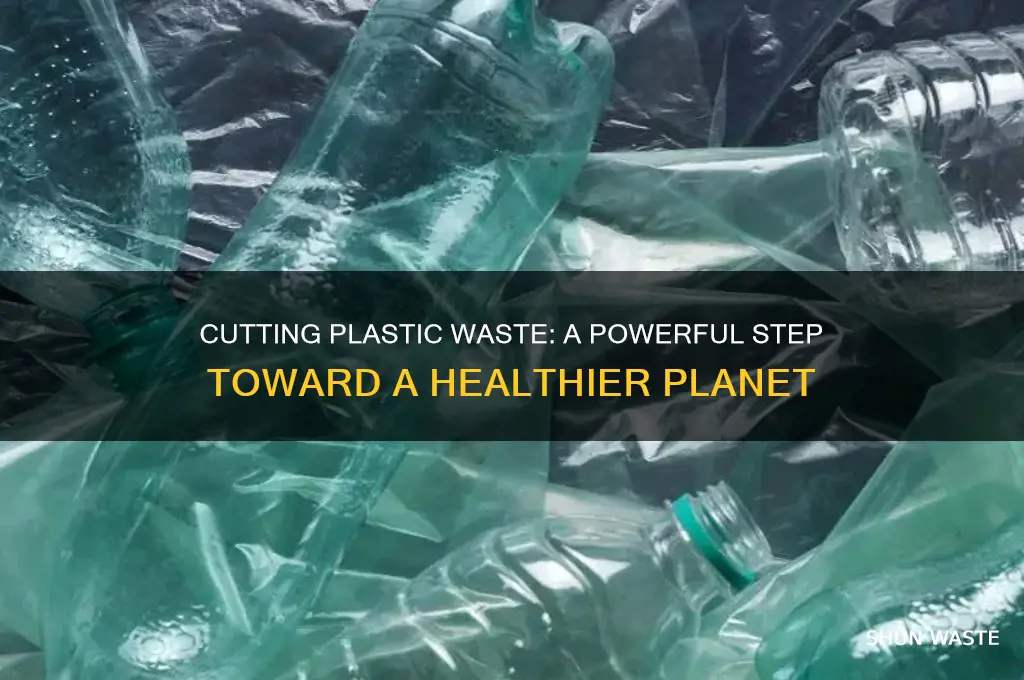 how does reducing plastic waste benefit the environment