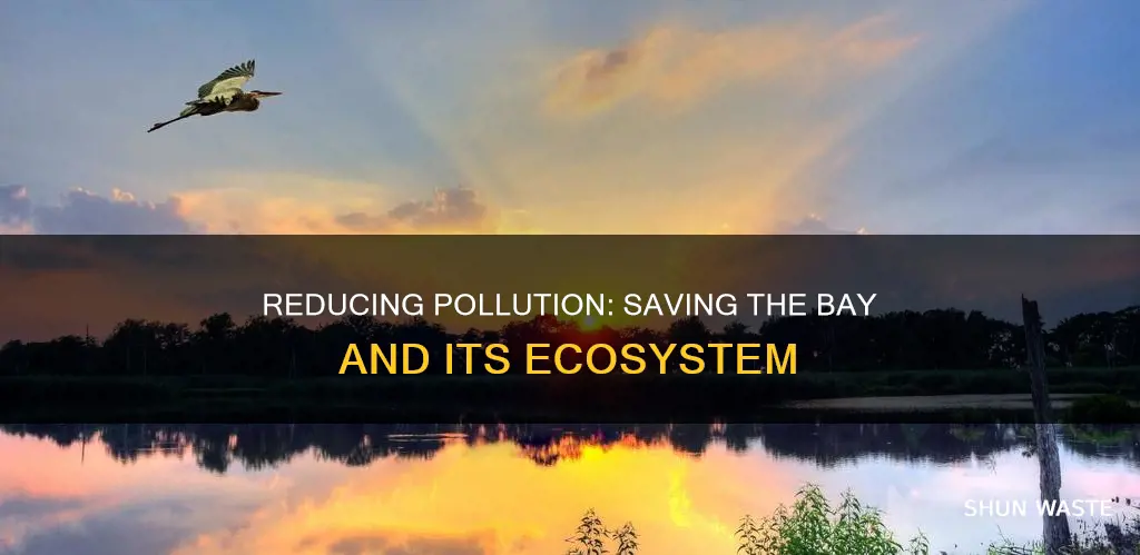 how does reducing pollution help the bay