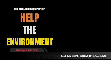 Reducing Poverty: A Powerful Strategy for Environmental Sustainability and Renewal