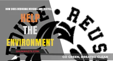 Sustainable Living: How Reducing, Reusing, and Recycling Protect Our Planet
