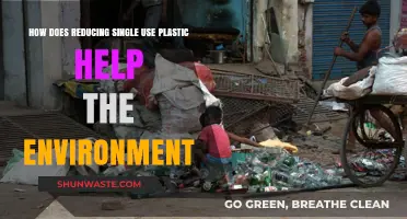 Cutting Single-Use Plastic: A Powerful Step Toward a Greener Planet