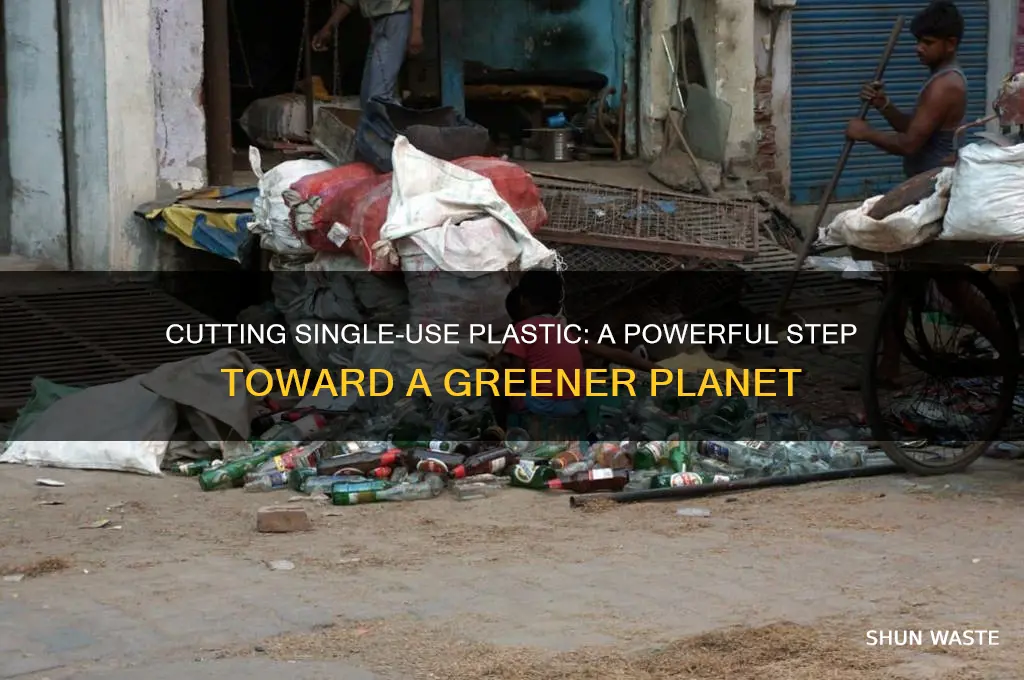how does reducing single use plastic help the environment