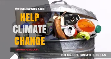 Cutting Waste: A Powerful Strategy to Combat Climate Change