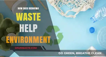 Reducing Waste: A Powerful Step Towards a Healthier Environment