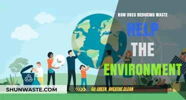 Reducing Waste: A Powerful Step Towards a Healthier Planet