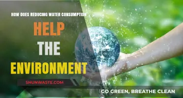 Cutting Water Use: A Simple Step to Save Our Planet