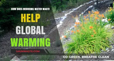 Cutting Water Waste: A Powerful Tool Against Global Warming