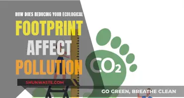 Reducing Ecological Footprint: Pollution's Solution