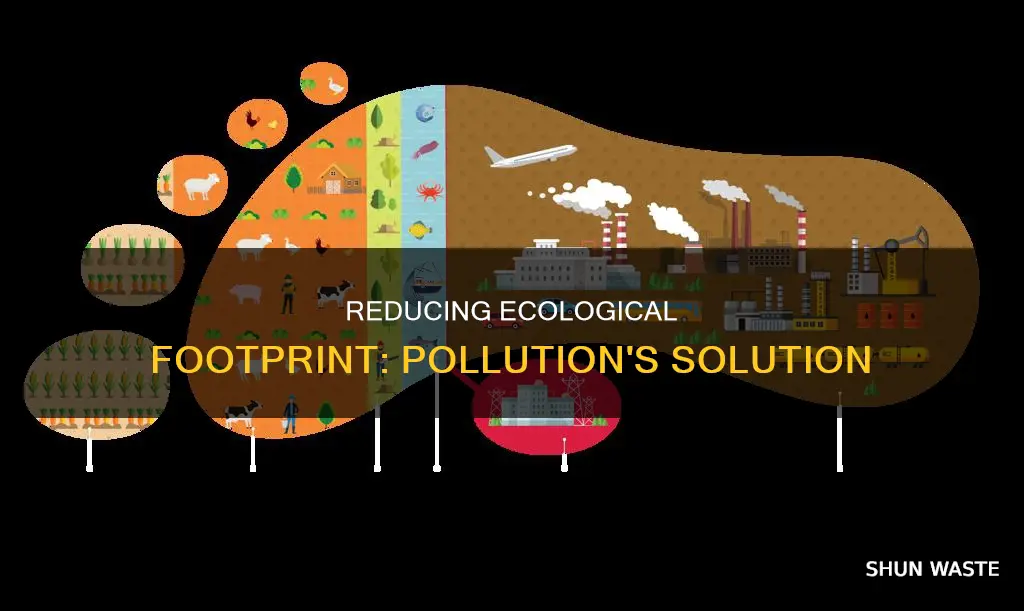 how does reducing your ecological footprint affect pollution