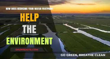 Lower Water Footprint, Bigger Environmental Impact: Sustainable Living Tips