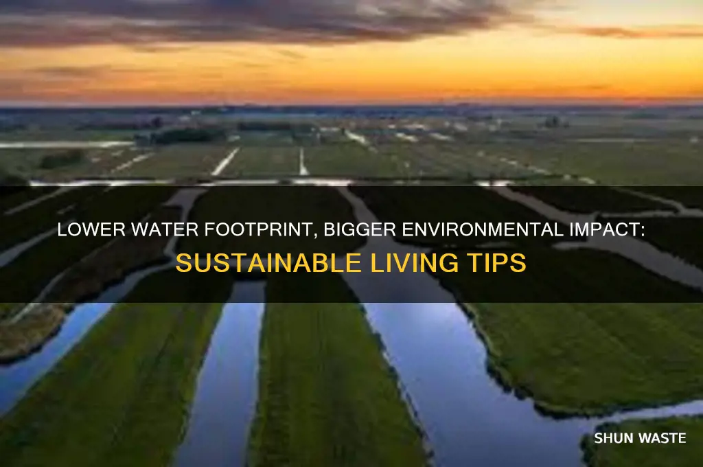 how does reducing your water footprint help the environment