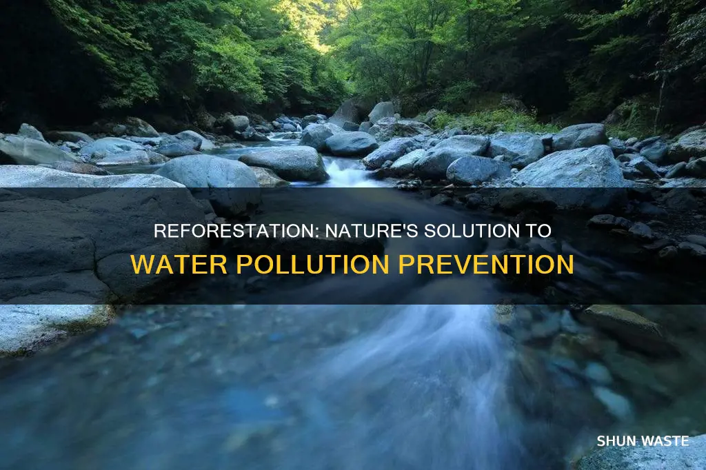 how does reforestation helps to prevent water pollution