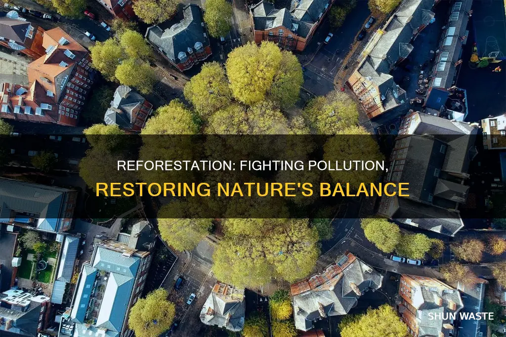 how does reforestation reduce pollution