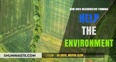 Regenerative Farming: A Sustainable Solution for Environmental Restoration