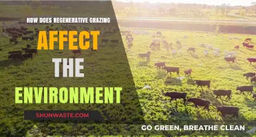 Regenerative Grazing: Transforming Land, Climate, and Ecosystems Sustainably
