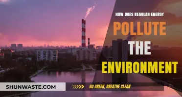 Energy's Environmental Impact: Regular Sources Pollute Our Planet