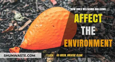 The Hidden Environmental Impact of Releasing Balloons into the Sky