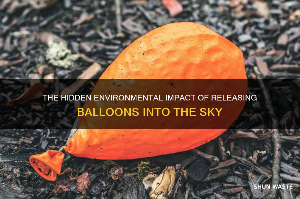 how does releasing balloons affect the environment