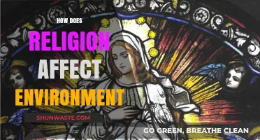 Religion's Impact: Shaping Environmental Stewardship and Sustainability Practices
