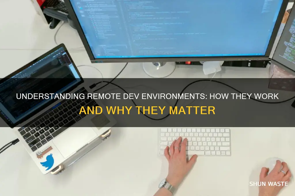 how does remote dev environment works