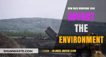 Coal Elimination: Environmental Impacts and Benefits of a Cleaner Future
