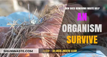 Waste Removal: Essential Survival Mechanism for Organisms' Health and Longevity
