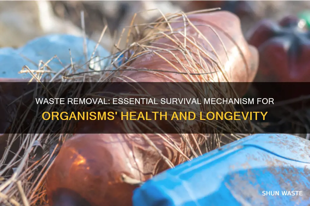 how does removing waste help an organism survive