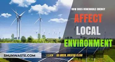 Renewable Energy's Impact: Transforming Local Ecosystems and Communities