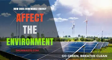 Renewable Energy's Environmental Impact: Benefits, Challenges, and Sustainable Solutions