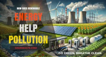 Renewable Energy: Pollution Solution and Energy Revolution