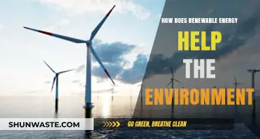 Renewable Energy's Environmental Impact: Clean Power for a Sustainable Future