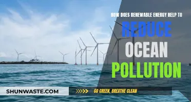 Renewable Energy: Ocean Savior, Pollution Solution