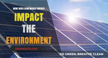 Renewable Energy's Environmental Impact: Benefits, Challenges, and Sustainable Future
