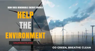Renewable Energy Sources: Environmental Benefits and Sustainable Future Solutions