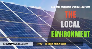 Renewable Energy's Local Impact: Environmental Benefits and Challenges Explored
