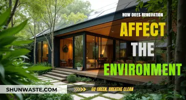 Renovation's Environmental Impact: Sustainable Practices for Greener Home Makeovers