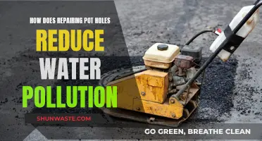 Fixing Potholes: Reducing Water Pollution and Protecting Our Environment