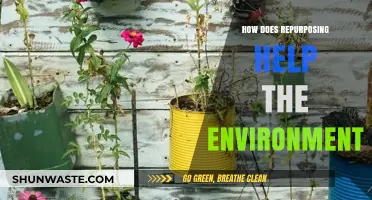 Repurposing Reduces Waste: Eco-Friendly Ways to Save Our Planet