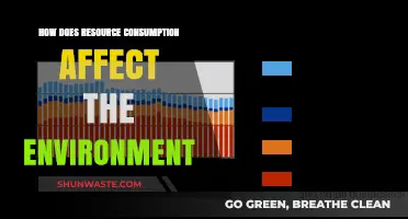 Resource Consumption's Impact: Environmental Consequences and Sustainable Solutions