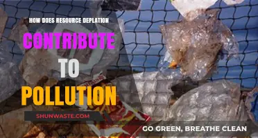 Resource Depletion: A Major Driver of Pollution and Environmental Degradation