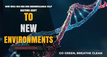 Restriction Endonucleases: Bacteria's Secret Weapon for Environmental Adaptation