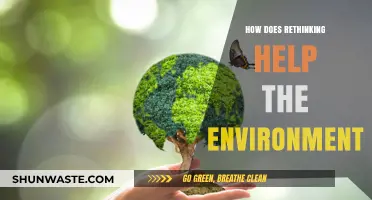 Rethinking Daily Choices: Sustainable Practices for a Greener Future