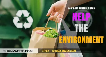 Reusable Bags: Eco-Friendly Solutions to Reduce Waste and Protect Nature
