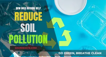 Reusing to Reduce Soil Pollution: A Green Initiative