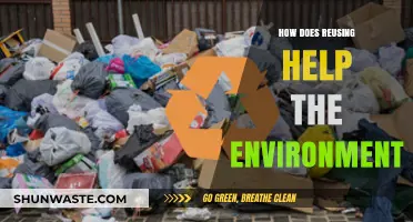 Reusing Reduces Waste: Eco-Friendly Benefits for a Sustainable Future